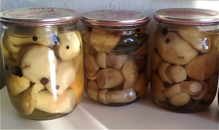 Белые грибы на зиму