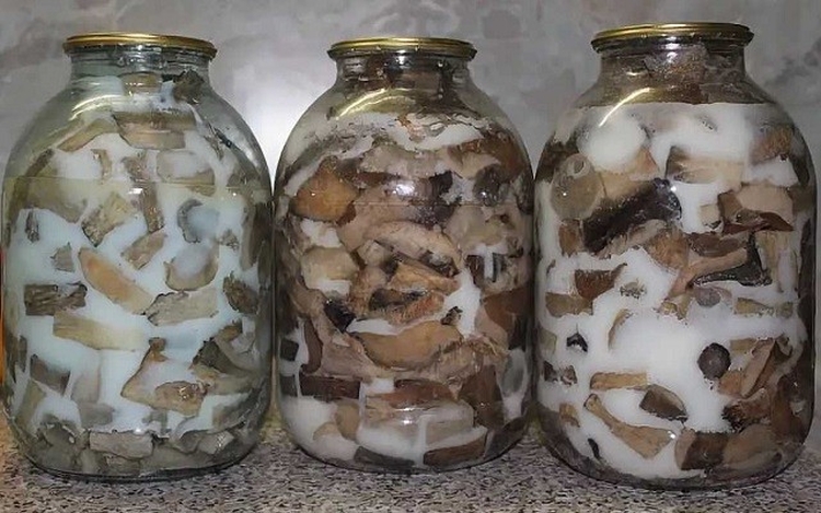 Белые грибы на зиму