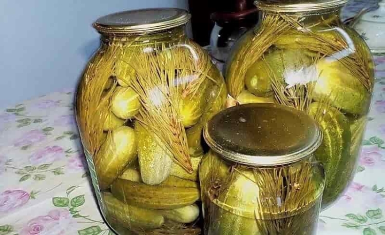 Лучшие маринады для огурцов на зиму с пропорциями