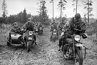 Опубликована шифровка 1941 года о войне с Германией. СССР получил предупреждение о нападении за сутки до начала