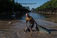 Обнаружен новый вид морских слизней
