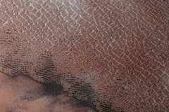 В &laquo;Роскосмосе&raquo; прокомментировали планы США о полете на Марс