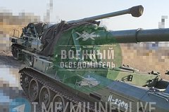 Появились новые фото северокорейской артиллерии в зоне СВО