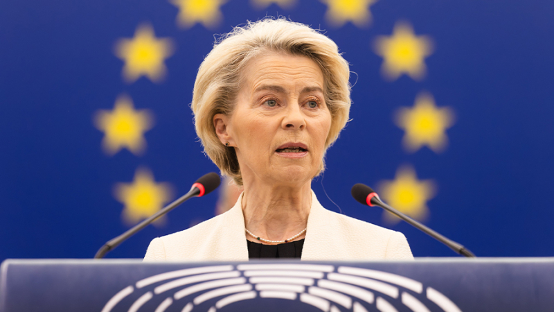 Фон дер Ляйен призвала ускорить процесс вступления Украины в ЕС