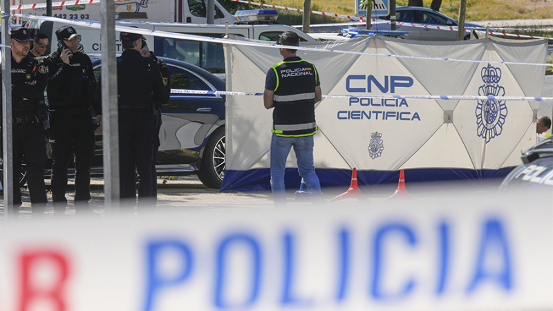 СМИ сообщили о девяти выстрелах в экс-советника Януковича Портнова