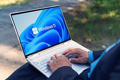 Популярность Windows 11 рухнула