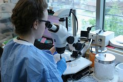 Разработан метод борьбы с диабетом без инсулина