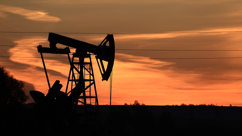 В Японии сообщили о снижении порога на импорт сырой нефти из РФ до $47,6